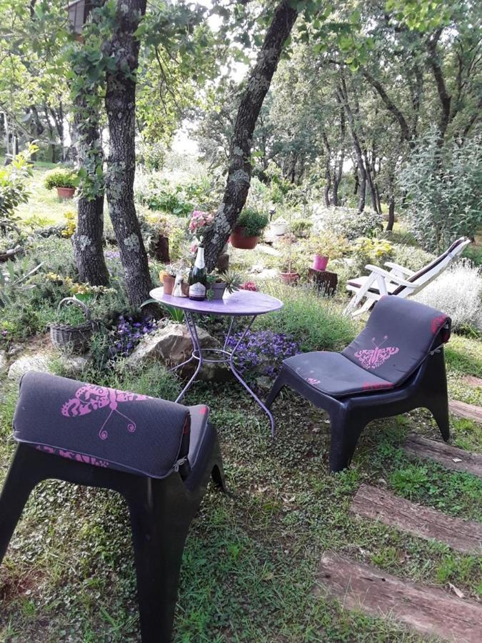 Apartments Bijou With Big Private Garden Near Umag Vilanija Εξωτερικό φωτογραφία