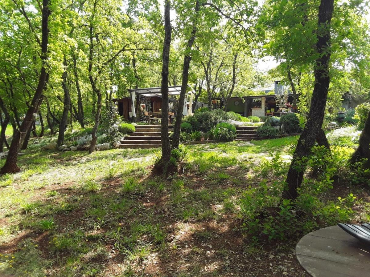 Apartments Bijou With Big Private Garden Near Umag Vilanija Εξωτερικό φωτογραφία